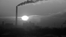 Морозное утро. Фото Бориса МОСКВИНА.