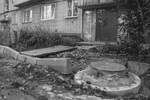 Фото Никиты ДАВЫДЕНКО