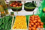 Фото из архива ИД «Советская Сибирь»