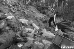 Усилиями волонтеров берега водоемов области и мегаполиса очищаются локально. Нужна системная работа и ужесточение санкций в отношении нарушителей экологического законодательства. Иначе все добровольческие субботники выглядят насмешкой. Фото: архив ИД «СОветская Сибирь»