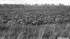 Фото: Андрей Заржецкий