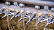 В нынешнем году аграриям приходится убирать хлеб и в густом тумане, и ночью, и по снегу. Тем не менее три миллиона тонн зерна уже в закромах, хотя уборочная кампания еще не завершена. Фото: Андрей Заржецкий