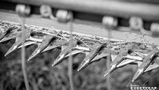 В нынешнем году аграриям приходится убирать хлеб и в густом тумане, и ночью, и по снегу. Тем не менее три миллиона тонн зерна уже в закромах, хотя уборочная кампания еще не завершена. Фото: Андрей Заржецкий