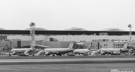 Фото: архив ИД «Советская Сибирь»