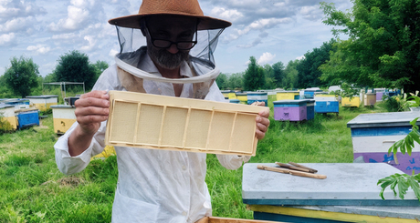 Пчелы очень чистоплотные, не любят резких звуков и неприятных запахов. И Сергей Якубович знает, как с ними обращаться. Фото: Марина Якубович