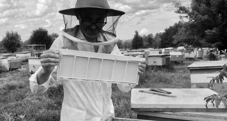 Пчелы очень чистоплотные, не любят резких звуков и неприятных запахов. И Сергей Якубович знает, как с ними обращаться. Фото: Марина Якубович