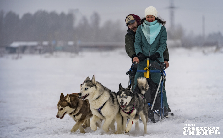 Фото: Андрей Заржецкий