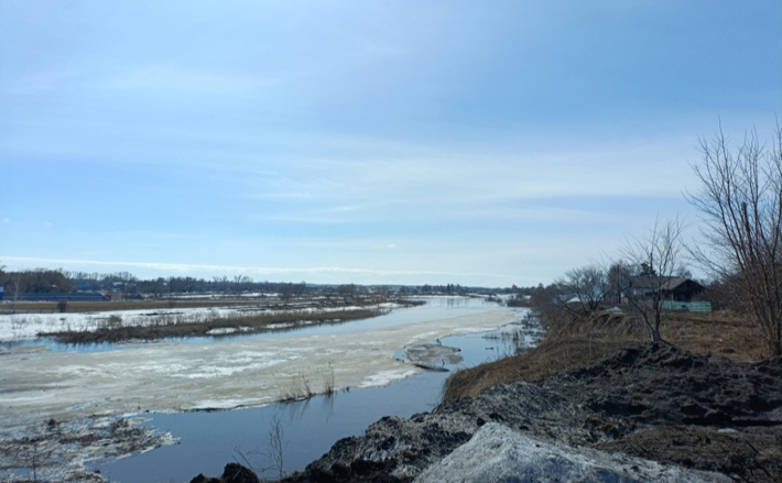 Фото с сайта stepzori.ru