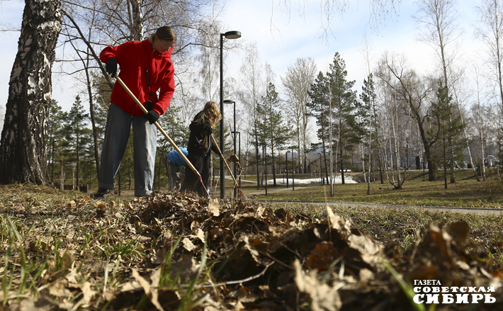 Трудовые отряды школьников и студентов присоединились к всероссийскому субботнику.  Фото: Алина Кухмарь