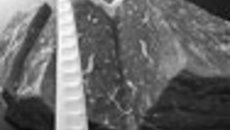 005-06.jpg