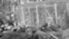 013-38.jpg