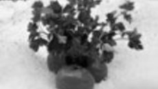 013-37.jpg