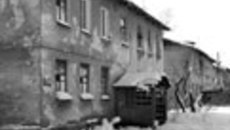 021-04.jpg