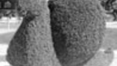 028-11.jpg