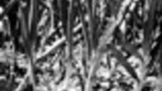 042-55.jpg