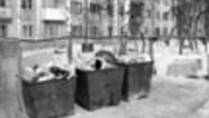055-05.jpg