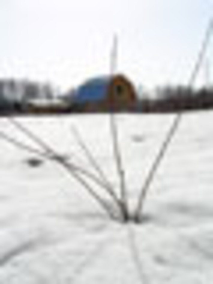 061-41.jpg