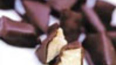 061-08.jpg