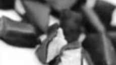 061-08.jpg