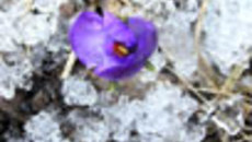 066-44.jpg