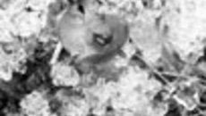 066-44.jpg