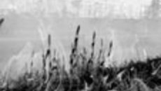 068-04.jpg