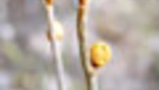 071-36.jpg