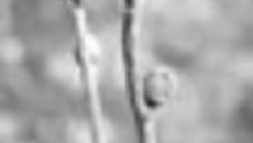 071-36.jpg