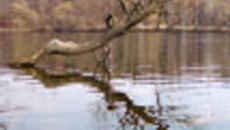 071-04.jpg