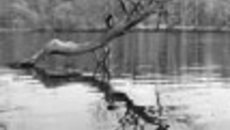 071-04.jpg