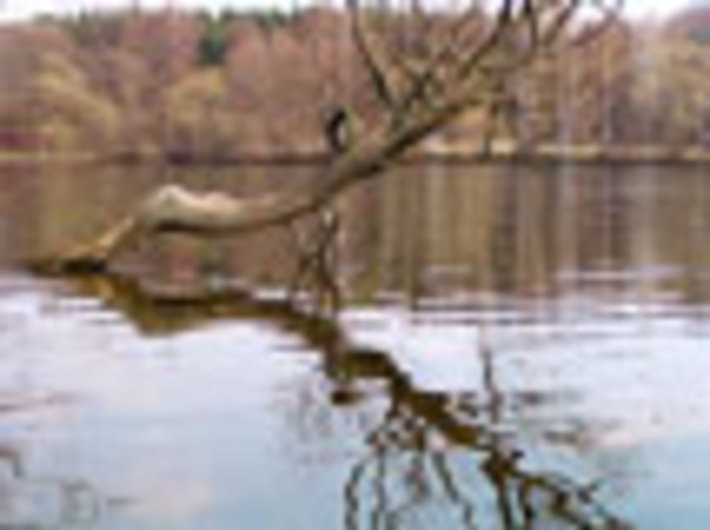 071-04.jpg