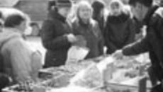 073-10.jpg