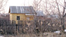 076-41.jpg