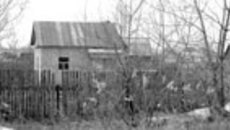 076-41.jpg