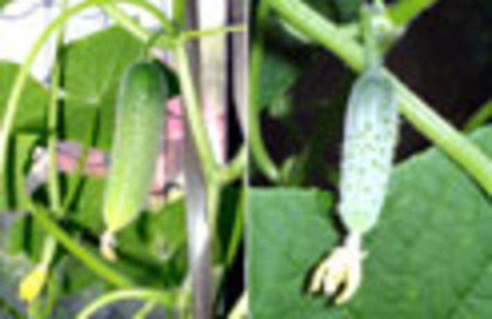 089-40.jpg