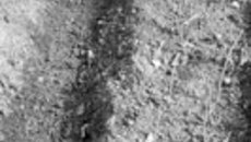 095-39.jpg