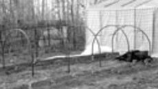 095-43.jpg