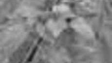 105-42.jpg