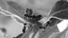 110-40.jpg