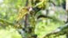 126-50.jpg