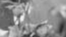 131-50.jpg