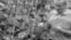 136-42.jpg