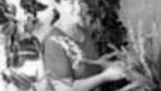 136-41.jpg