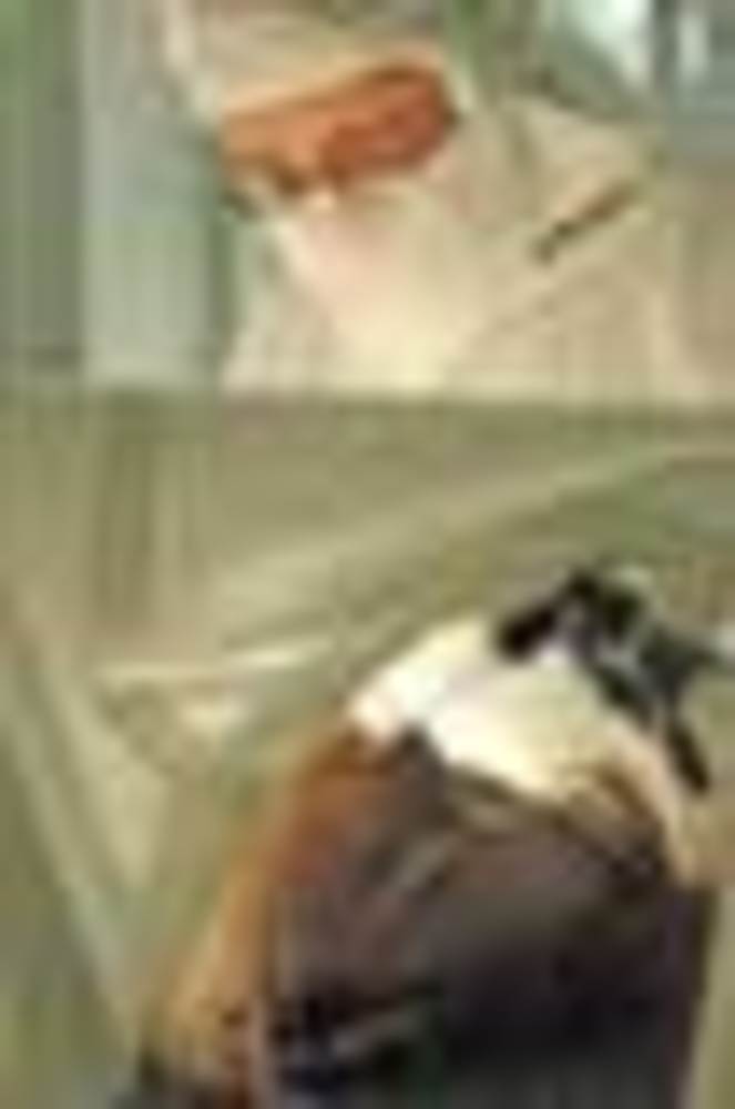 147-28.jpg