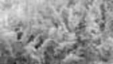 157-52.jpg