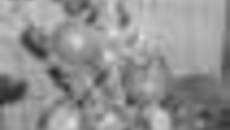 157-50.jpg