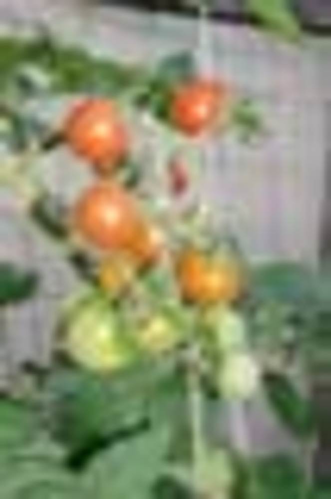 157-50.jpg