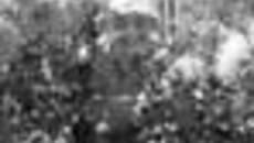 162-54.jpg