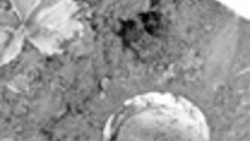 172-01.jpg