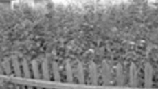 172-04.jpg